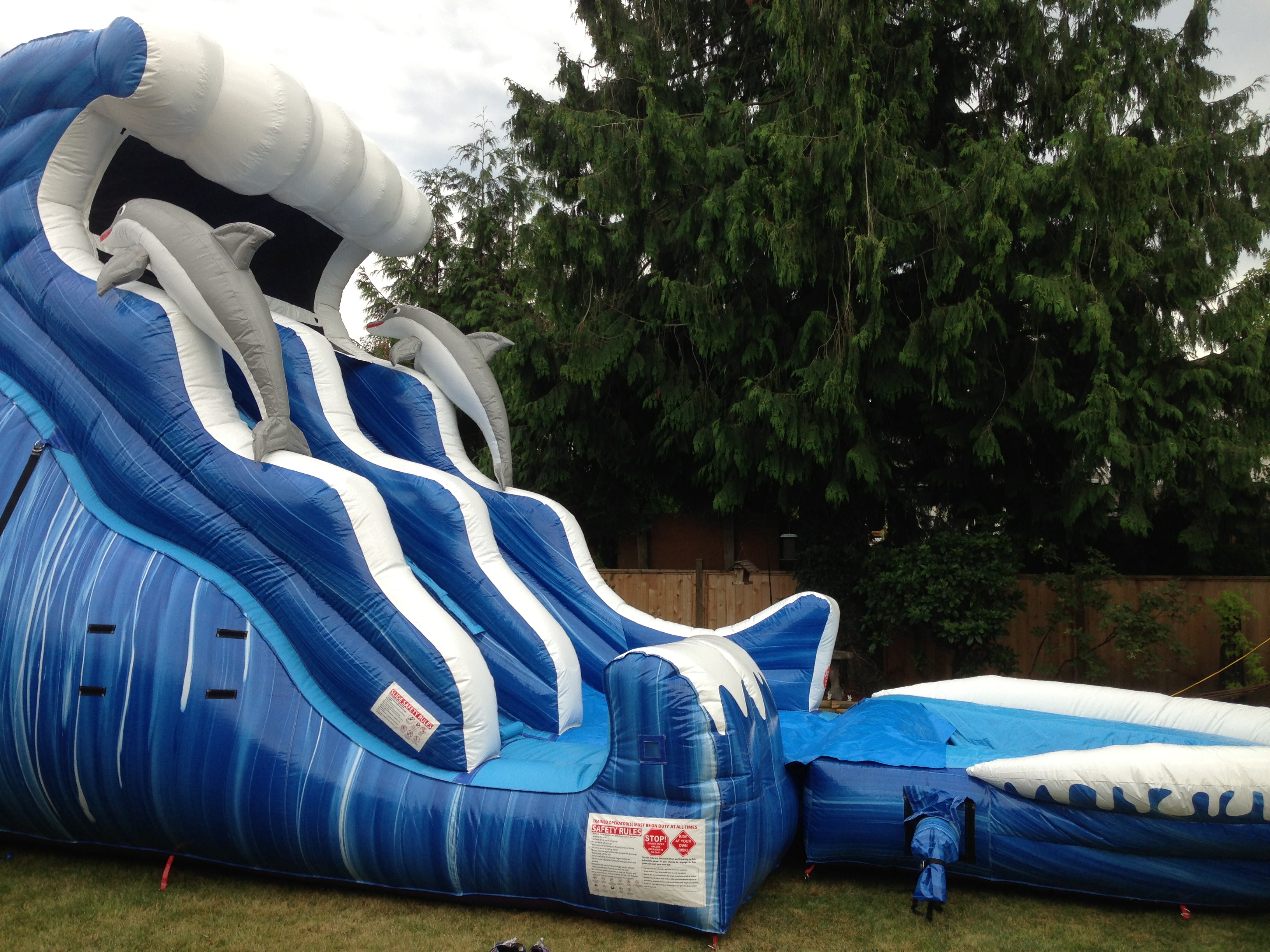 Dolphin Wave Water Slide