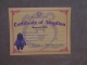 An adoption certificate comes with each bear