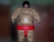 Adult Sumo Suits