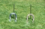 Horseshoes