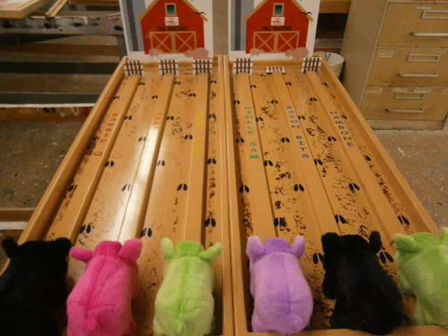 Pig Racing Start Line