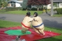 Youth Sumo Suits